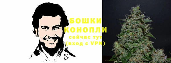 ГАЛЛЮЦИНОГЕННЫЕ ГРИБЫ Аркадак