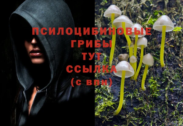 экстази Баксан