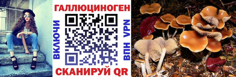 Псилоцибиновые грибы Magic Shrooms цена Кологрив